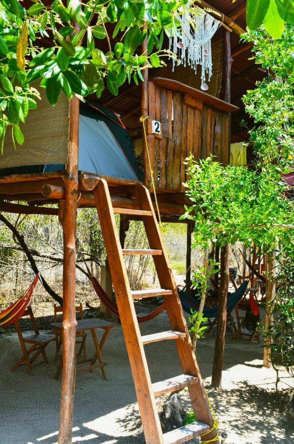 Skycamp Camping Holbox المظهر الخارجي الصورة