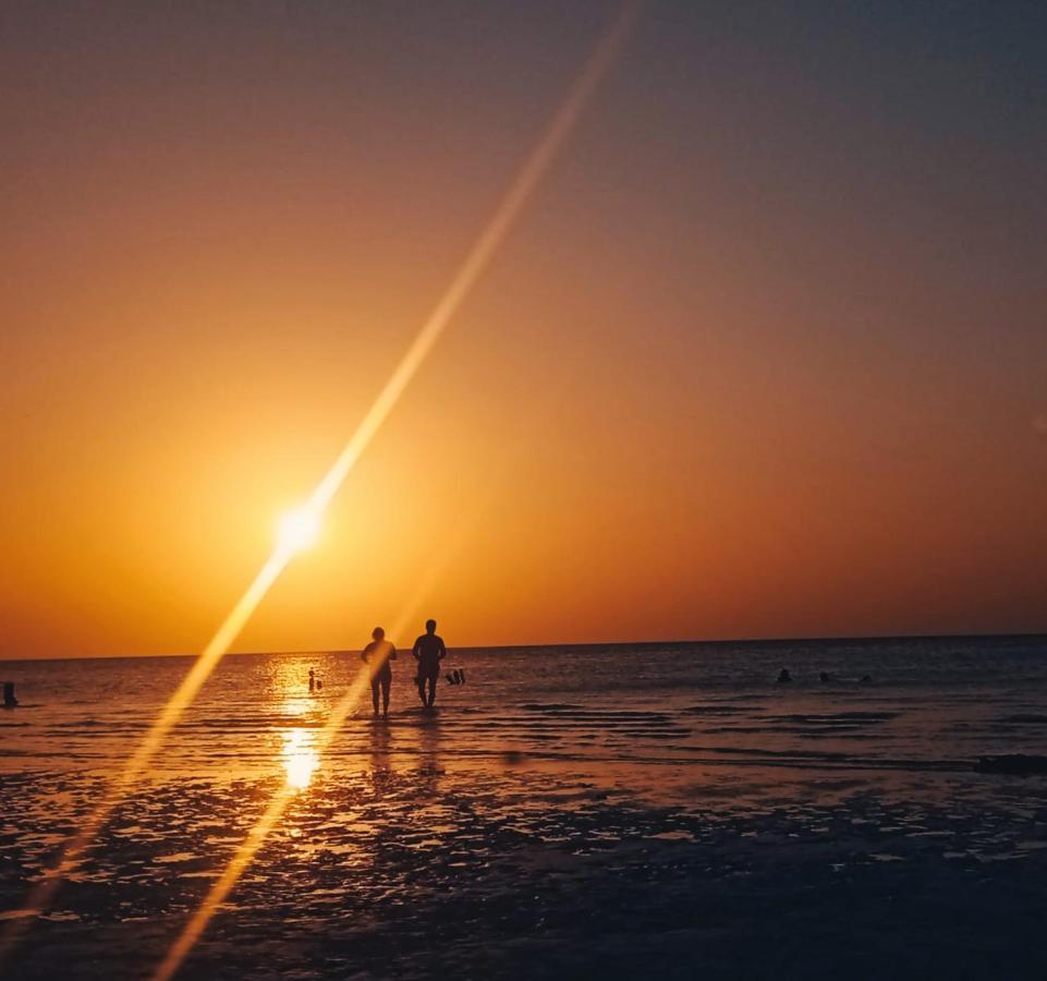 Skycamp Camping Holbox المظهر الخارجي الصورة