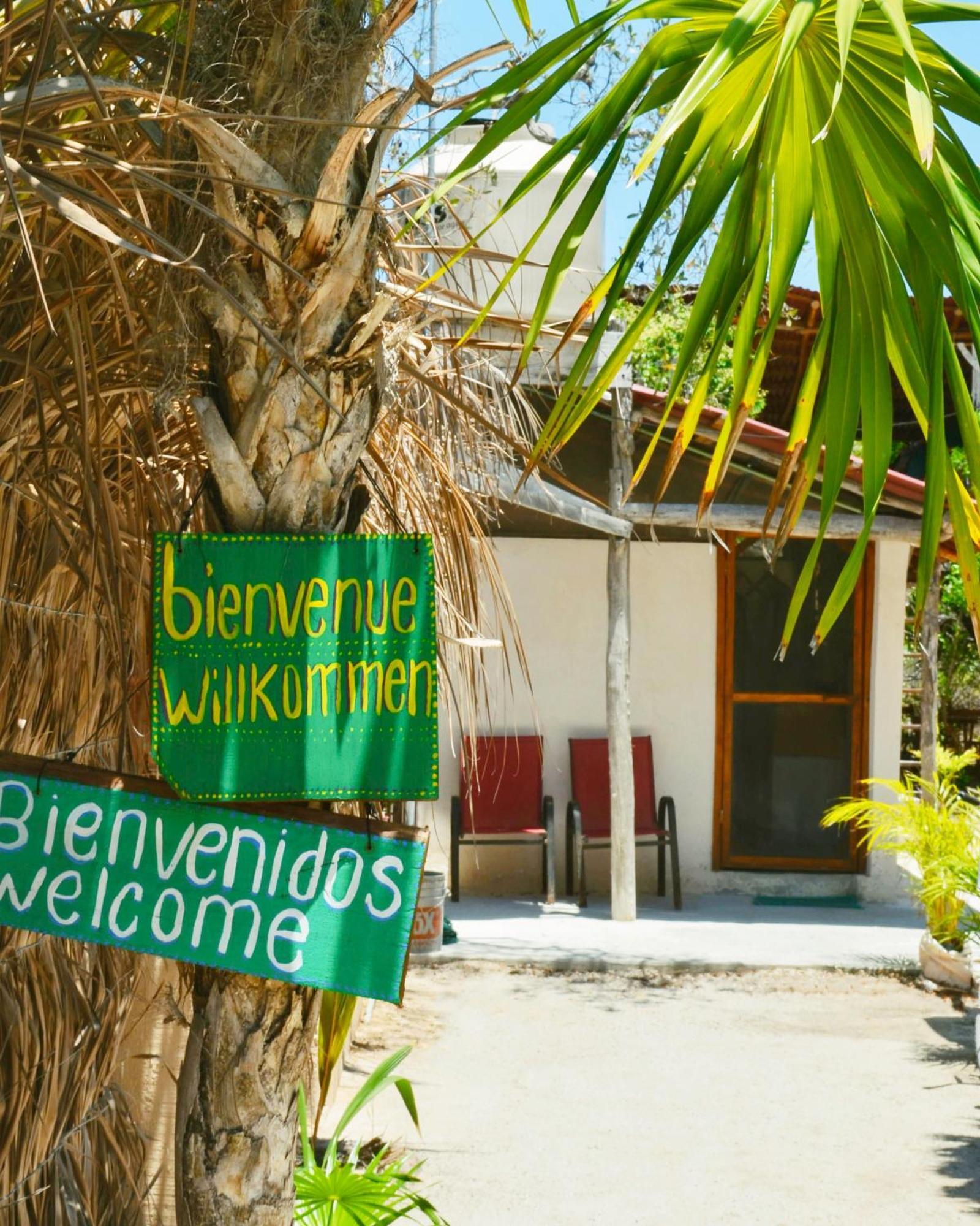 Skycamp Camping Holbox المظهر الخارجي الصورة